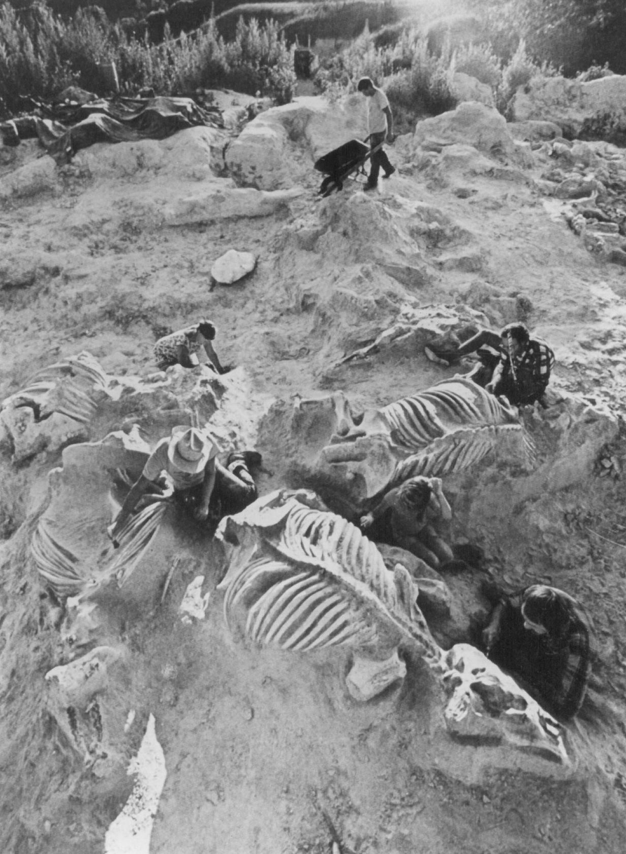 Ashfall Fossil Beds
